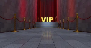 Access to VIP-only areas